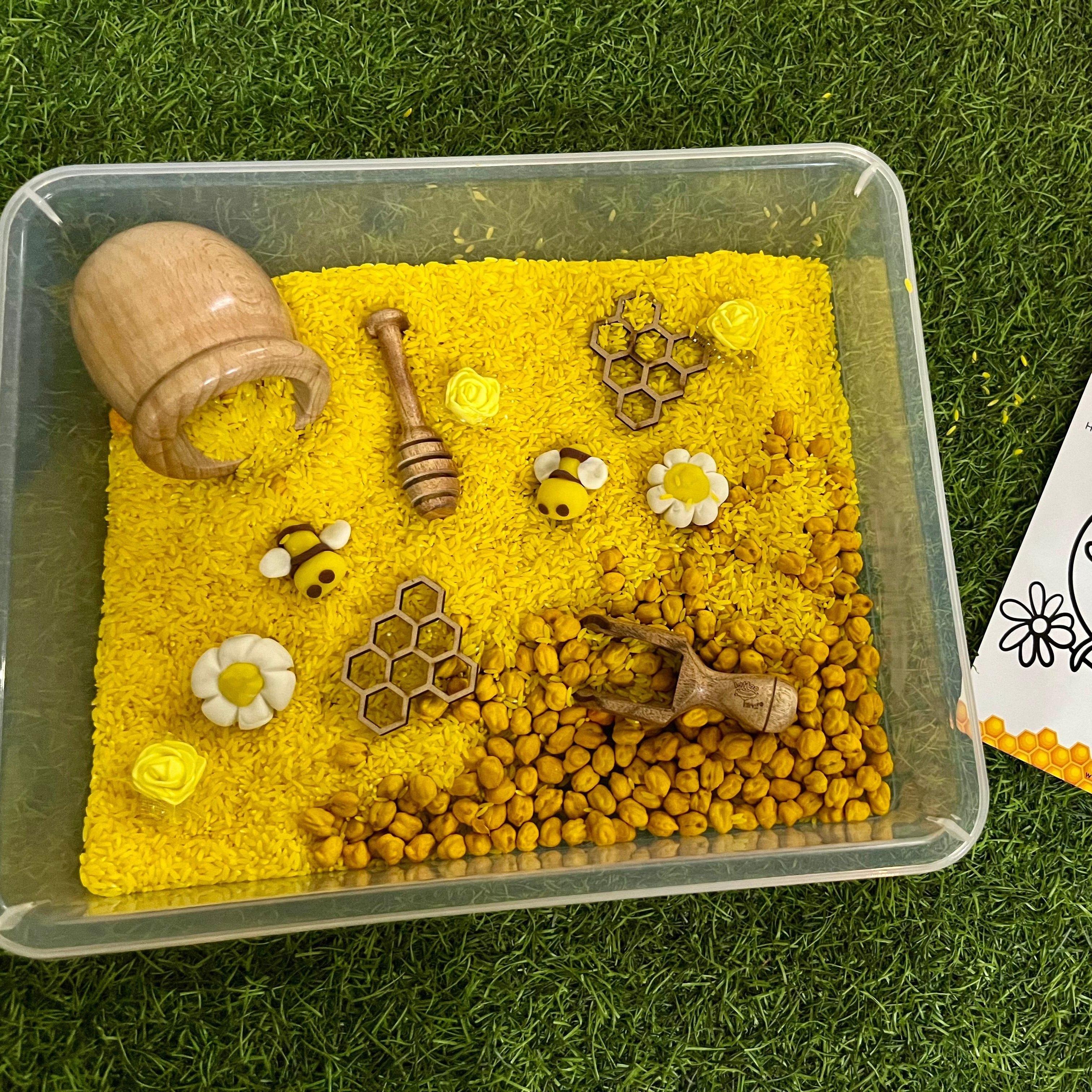 Honey bee toy wooden sensory bin play for kids