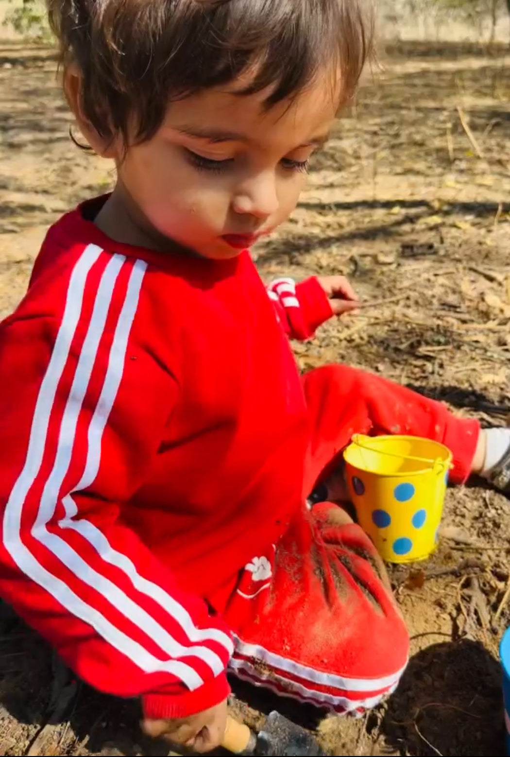 A compact gardening kit designed for children, featuring plant-growing tools and fun activities. Learning toy brain development outdoor toys for kids